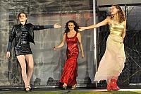 Marná lásky snaha, Letní shakespearovské slavnosti Brno 2012