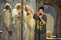 Zkrocení zlé ženy, Letní shakespearovské slavnosti Brno 2012