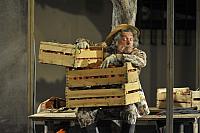 Zkrocení zlé ženy, Letní shakespearovské slavnosti Brno 2012