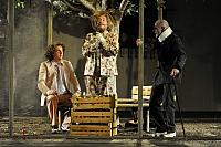 Zkrocení zlé ženy, Letní shakespearovské slavnosti Brno 2012