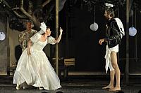 Zkrocení zlé ženy, Letní shakespearovské slavnosti Brno 2012