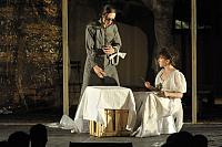 Zkrocení zlé ženy, Letní shakespearovské slavnosti Brno 2012