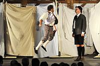 Veselé paničky windsorské, Letní shakespearovské slavnosti Brno