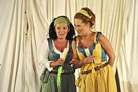 Veselé paničky windsorské, Letní shakespearovské slavnosti Brno