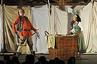 Veselé paničky windsorské, Letní shakespearovské slavnosti Brno