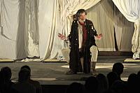 Veselé paničky windsorské, Letní shakespearovské slavnosti Brno