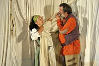 Veselé paničky windsorské, Letní shakespearovské slavnosti Brno
