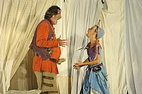 Veselé paničky windsorské, Letní shakespearovské slavnosti Brno