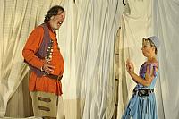Veselé paničky windsorské, Letní shakespearovské slavnosti Brno