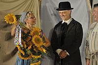 Veselé paničky windsorské, Letní shakespearovské slavnosti Brno