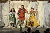 Veselé paničky windsorské, Letní shakespearovské slavnosti Brno